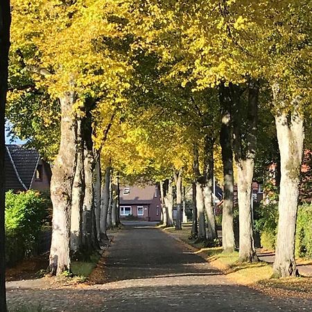 Ferienwohnung Am Holzfeld Schneverdingen Bagian luar foto