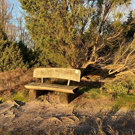 Ferienwohnung Am Holzfeld Schneverdingen Bagian luar foto