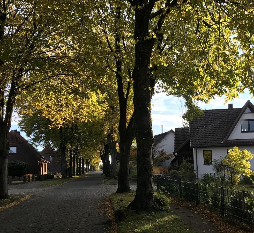Ferienwohnung Am Holzfeld Schneverdingen Bagian luar foto