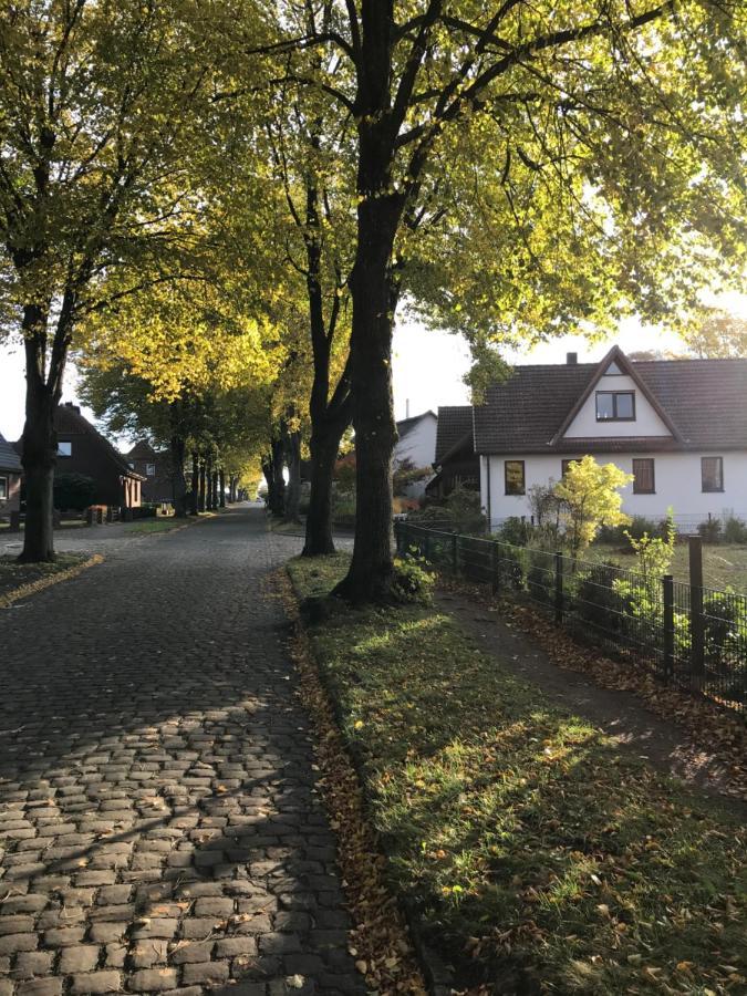 Ferienwohnung Am Holzfeld Schneverdingen Bagian luar foto