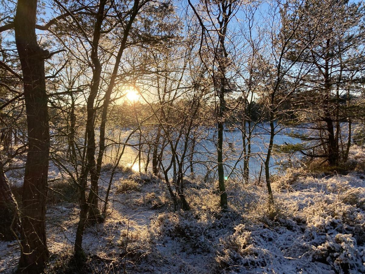 Ferienwohnung Am Holzfeld Schneverdingen Bagian luar foto